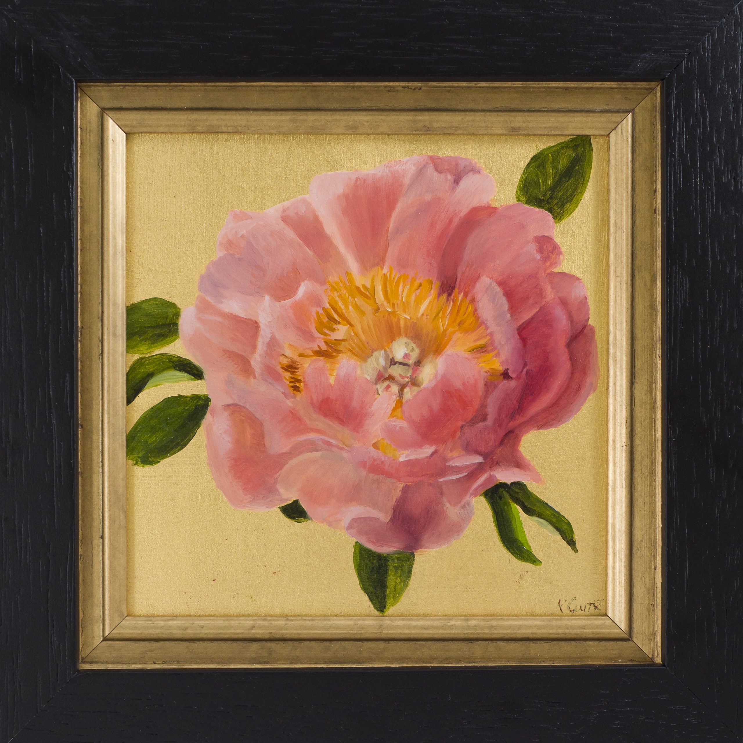 Coral Peony