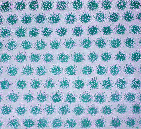 Sea Pinks Overlooking the Atlantic2 scaled