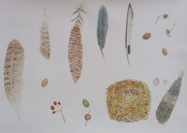 Autumn still life with feathers and robins nest. wc. 14ins x 20 ins 2020 scaled