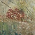 Roses in bloom by the lake 60x60cm oils on canvas