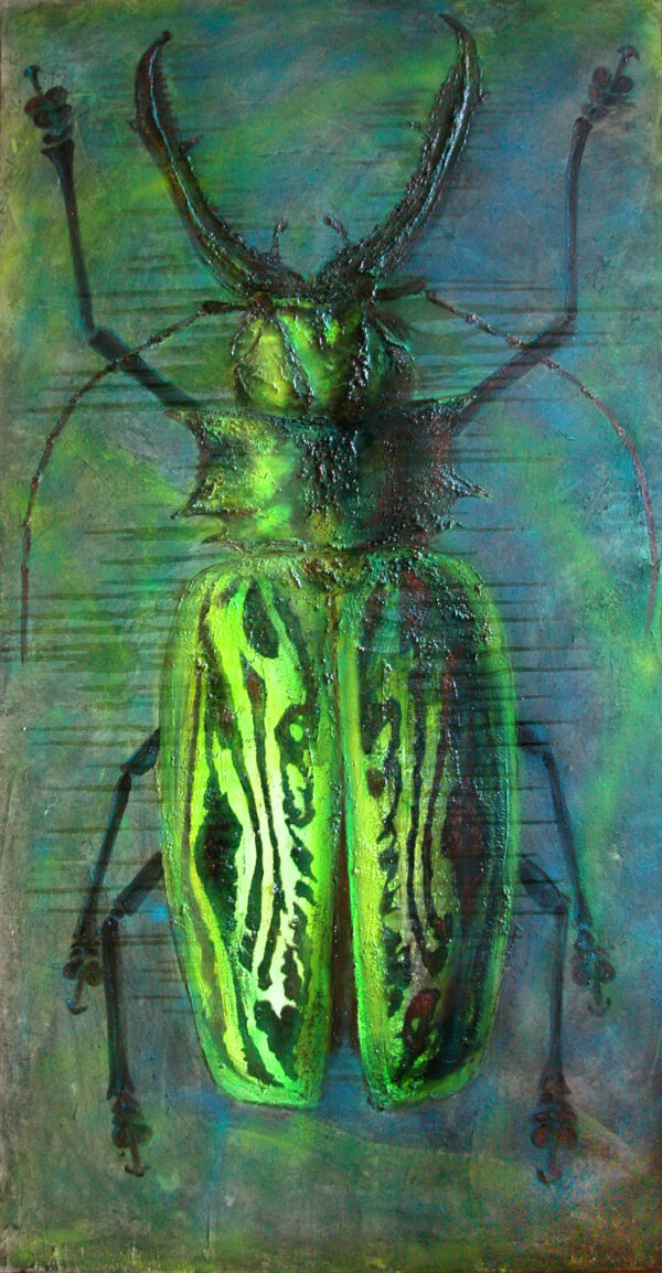 green beetle macrodontia cervicornis