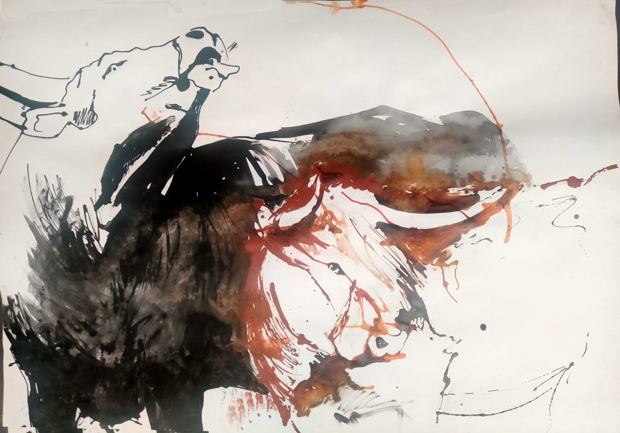Cattle II