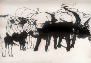 Cattle 1