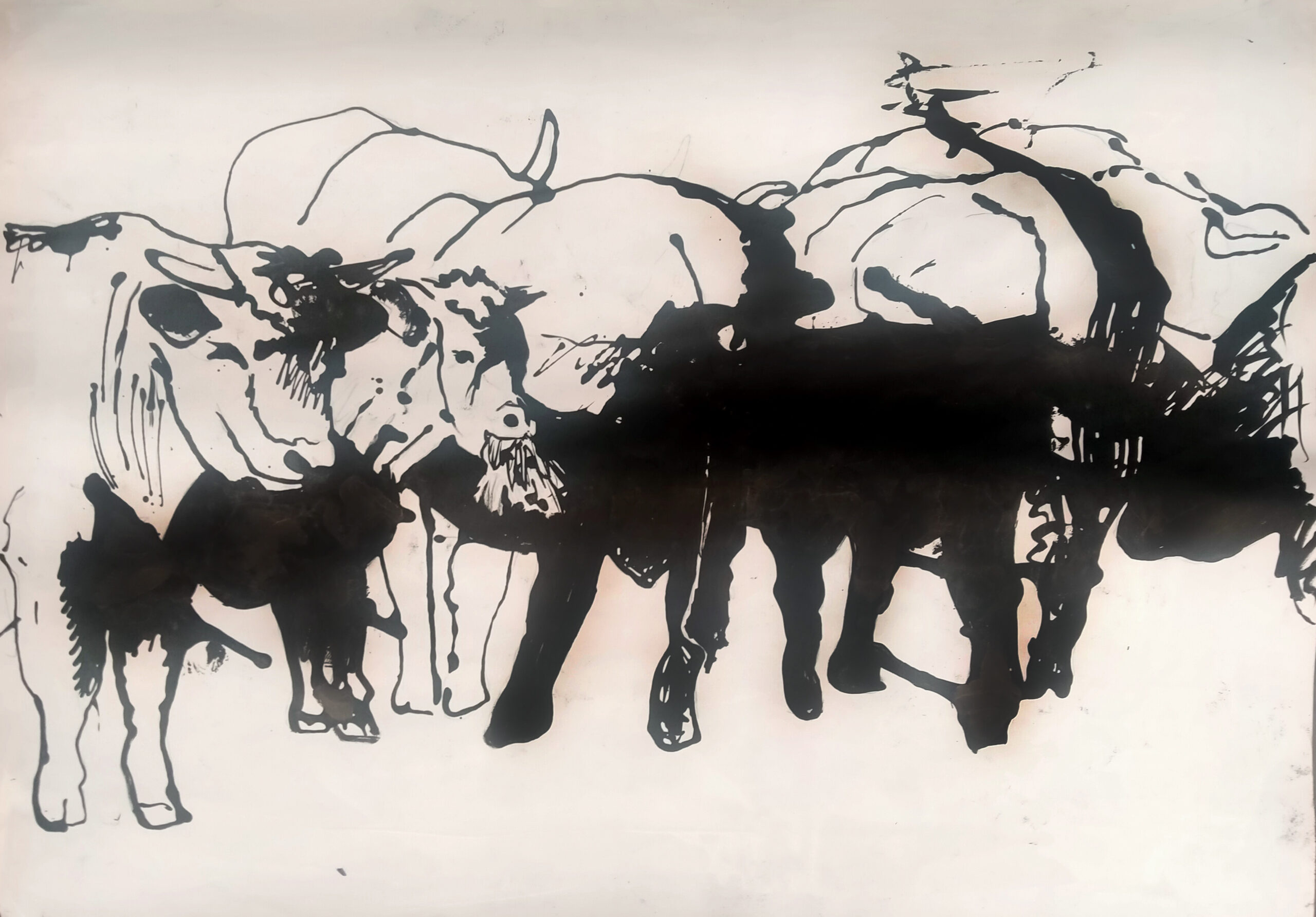 Cattle 1