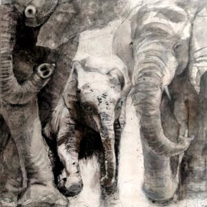 Elephants